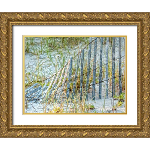 Sea Oats II Gold Ornate Wood Framed Art Print with Double Matting by Head, Danny
