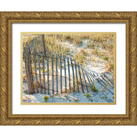 Sea Oats III Gold Ornate Wood Framed Art Print with Double Matting by Head, Danny