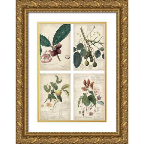 Mini Descubes Gold Ornate Wood Framed Art Print with Double Matting by Descubes, A.