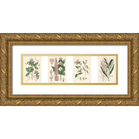 Pink Botanicals Gold Ornate Wood Framed Art Print with Double Matting by Unknown