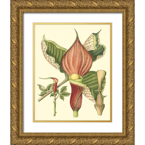 Botanical Fantasy I Gold Ornate Wood Framed Art Print with Double Matting by Unknown