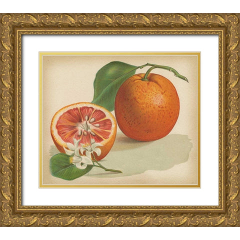 Orange Study I Gold Ornate Wood Framed Art Print with Double Matting by Unknown