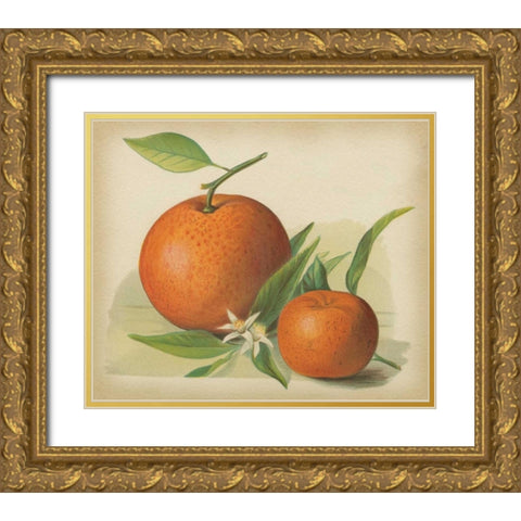 Orange Study II Gold Ornate Wood Framed Art Print with Double Matting by Unknown