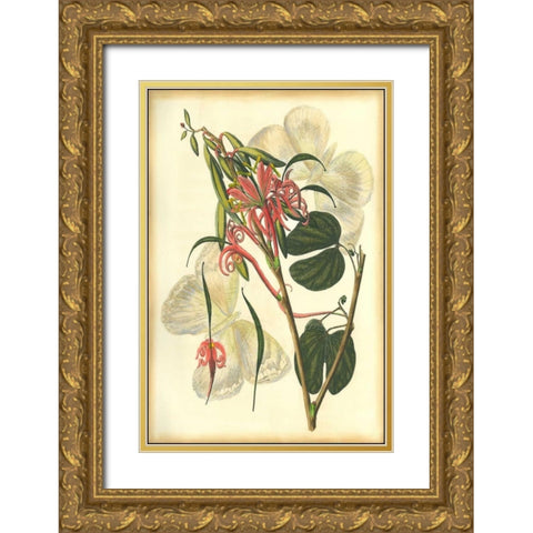 Floral Fantasia I Gold Ornate Wood Framed Art Print with Double Matting by Unknown