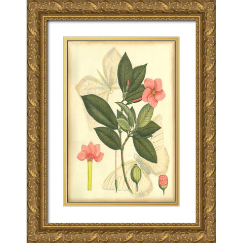 Floral Fantasia II Gold Ornate Wood Framed Art Print with Double Matting by Unknown