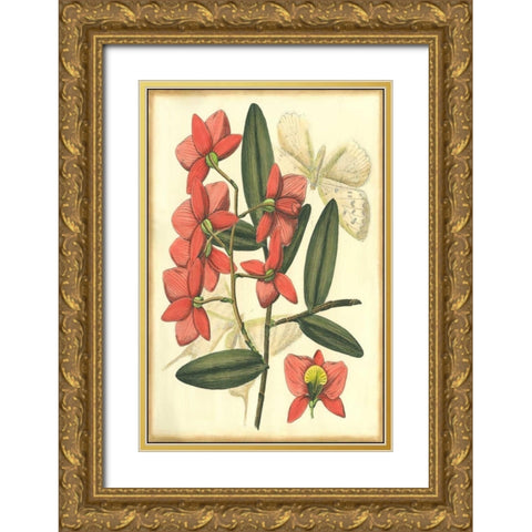 Floral Fantasia III Gold Ornate Wood Framed Art Print with Double Matting by Unknown