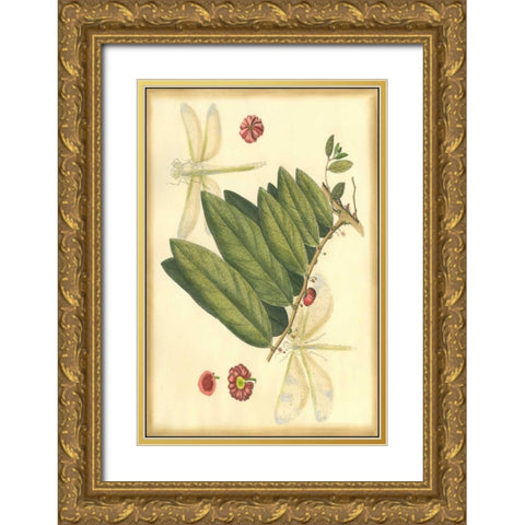 Floral Fantasia V Gold Ornate Wood Framed Art Print with Double Matting by Unknown