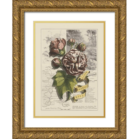 Garden in June I Gold Ornate Wood Framed Art Print with Double Matting by Bookman, D.