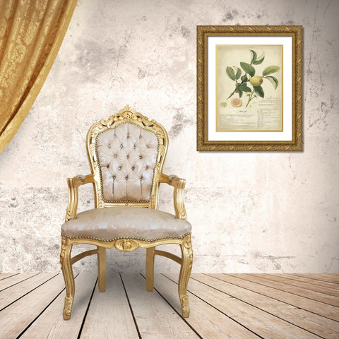 Descube Botanical I Gold Ornate Wood Framed Art Print with Double Matting by Descubes, A.