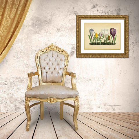 Crocus I Gold Ornate Wood Framed Art Print with Double Matting by Vision Studio