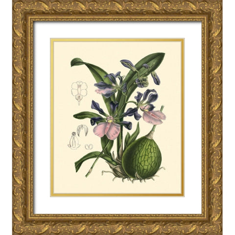 Exotic Foliage IV Gold Ornate Wood Framed Art Print with Double Matting by Vision Studio