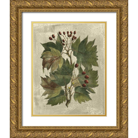 Printed Deshayes Trees I Gold Ornate Wood Framed Art Print with Double Matting by Vision Studio