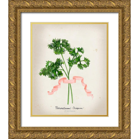 Herb Series II  Gold Ornate Wood Framed Art Print with Double Matting by Goldberger, Jennifer