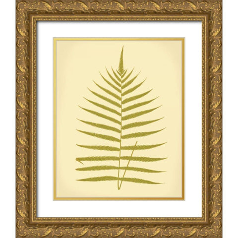 Lowes Fern IV Gold Ornate Wood Framed Art Print with Double Matting by Lowe, E.J.