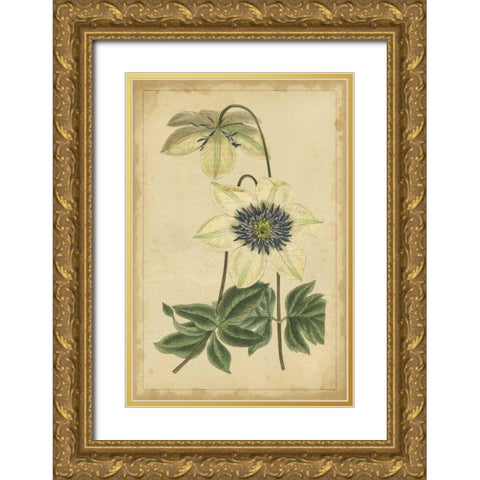 Curtis Blooms in White I Gold Ornate Wood Framed Art Print with Double Matting by Unknown