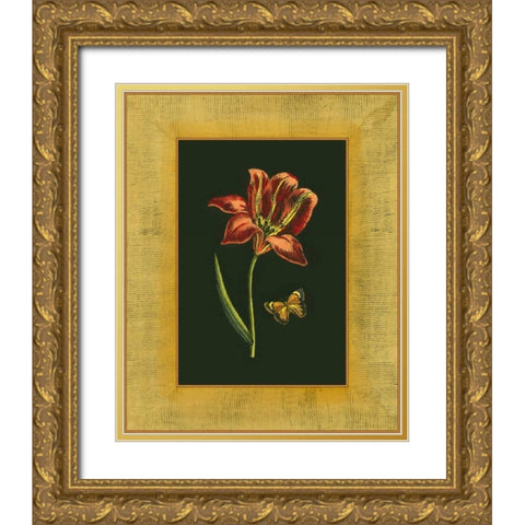 Tulip in Frame II Gold Ornate Wood Framed Art Print with Double Matting by Unknown