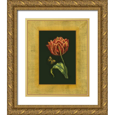 Tulip in Frame III Gold Ornate Wood Framed Art Print with Double Matting by Unknown