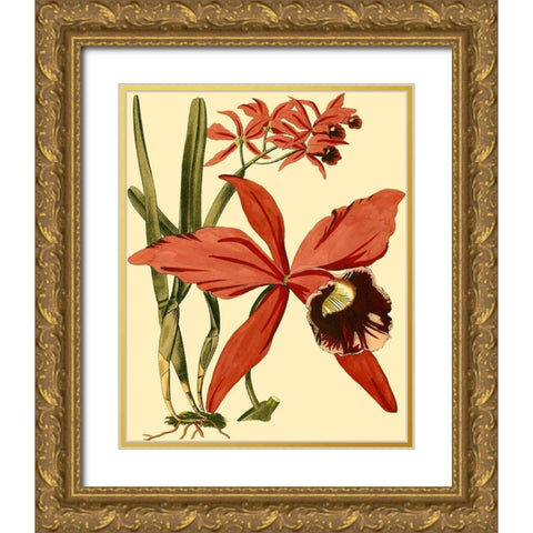 Mini Orchid Splendor III Gold Ornate Wood Framed Art Print with Double Matting by Vision Studio