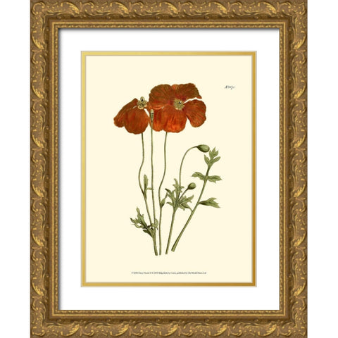 Fiery Florals II Gold Ornate Wood Framed Art Print with Double Matting by Curtis