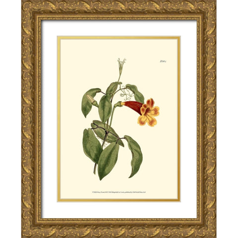 Fiery Florals III Gold Ornate Wood Framed Art Print with Double Matting by Curtis