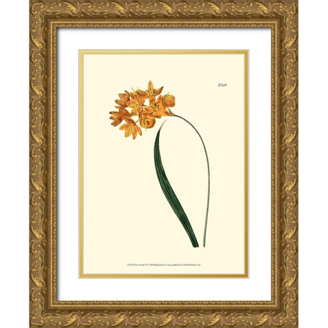 Fiery Florals IV Gold Ornate Wood Framed Art Print with Double Matting by Curtis