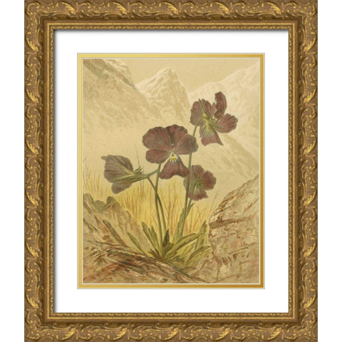 Alpine Florals I Gold Ornate Wood Framed Art Print with Double Matting by Vision Studio