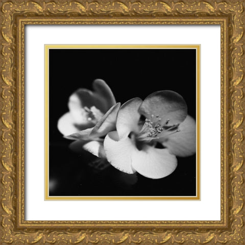 Quince Blossoms IV Gold Ornate Wood Framed Art Print with Double Matting by Stramel, Renee W.