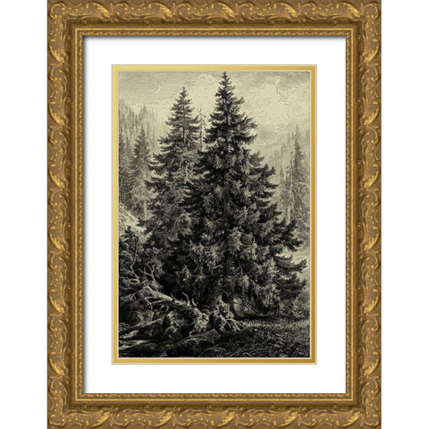 Spruce Pine Gold Ornate Wood Framed Art Print with Double Matting by Heyn, Ernst