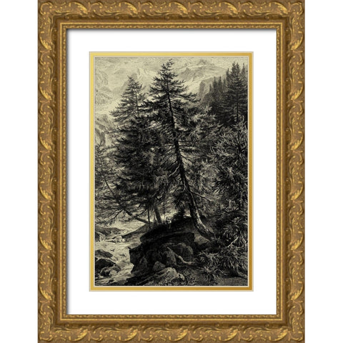 Larch Tree Gold Ornate Wood Framed Art Print with Double Matting by Heyn, Ernst