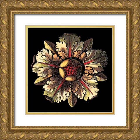Rosette on Black III Gold Ornate Wood Framed Art Print with Double Matting by Antonini, Da Carlo