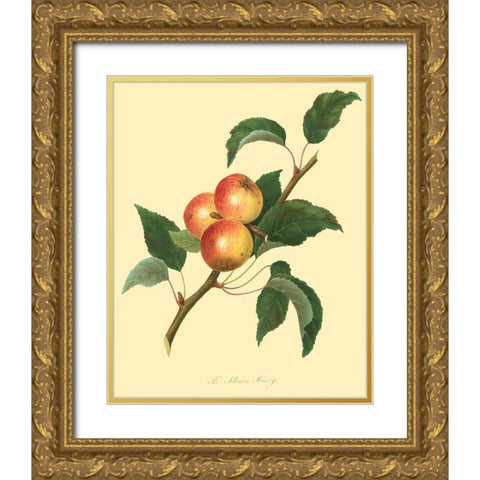 The Siberian Harvey Gold Ornate Wood Framed Art Print with Double Matting by Unknown