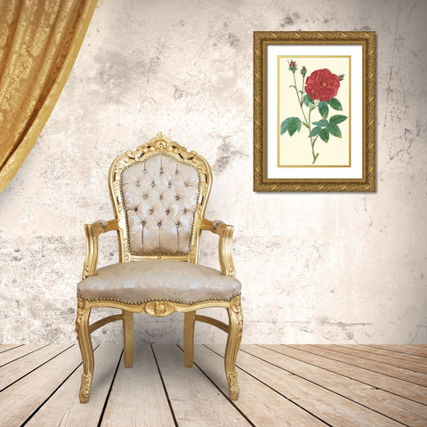 Crimson Beauty I Gold Ornate Wood Framed Art Print with Double Matting by Turpin