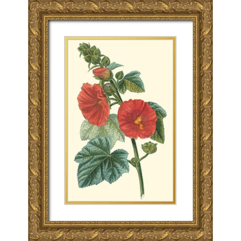 Crimson Beauty II Gold Ornate Wood Framed Art Print with Double Matting by Turpin