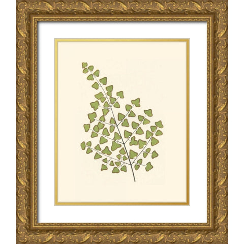 Woodland Ferns II Gold Ornate Wood Framed Art Print with Double Matting by Lowe, E. J.