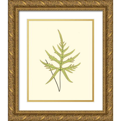Woodland Ferns IV Gold Ornate Wood Framed Art Print with Double Matting by Lowe, E. J.