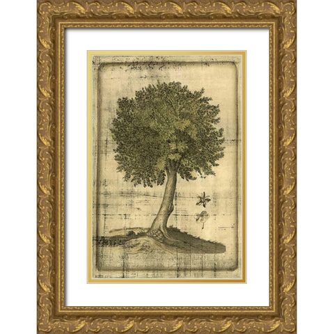 Printed Fruitful Realm I  Gold Ornate Wood Framed Art Print with Double Matting by Vision Studio