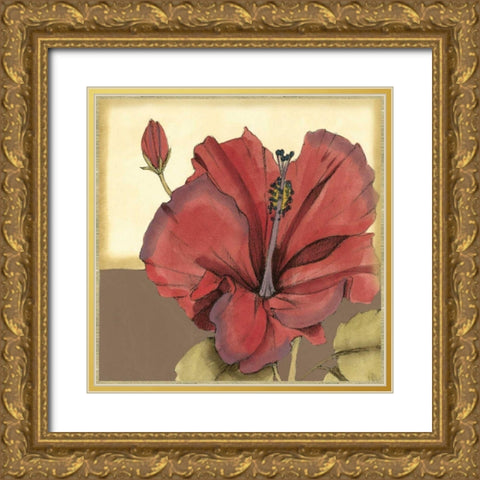 Cropped Sophisticated Hibiscus IV  Gold Ornate Wood Framed Art Print with Double Matting by Goldberger, Jennifer