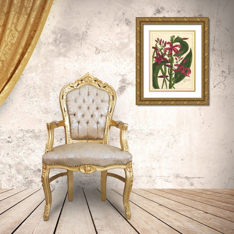 Fleur De Rouge III Gold Ornate Wood Framed Art Print with Double Matting by Unknown