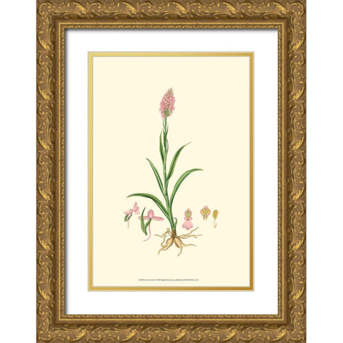 Curtis Garden I Gold Ornate Wood Framed Art Print with Double Matting by Curtis