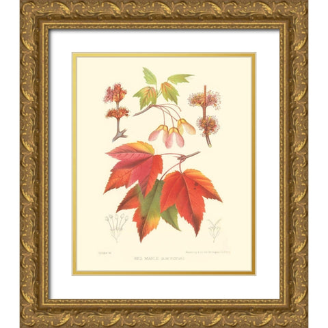 Red Maple Gold Ornate Wood Framed Art Print with Double Matting by Sprague