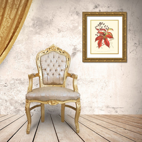 Virginian Creeper Gold Ornate Wood Framed Art Print with Double Matting by Sprague