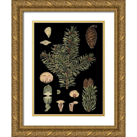 Small Dramatic Conifers I  Gold Ornate Wood Framed Art Print with Double Matting by Vision Studio
