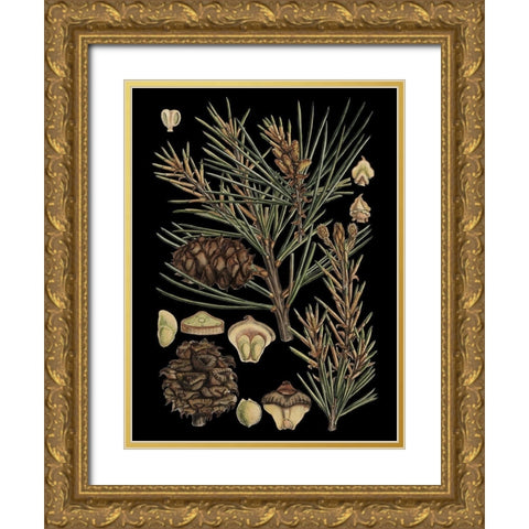 Small Dramatic Conifers II  Gold Ornate Wood Framed Art Print with Double Matting by Vision Studio