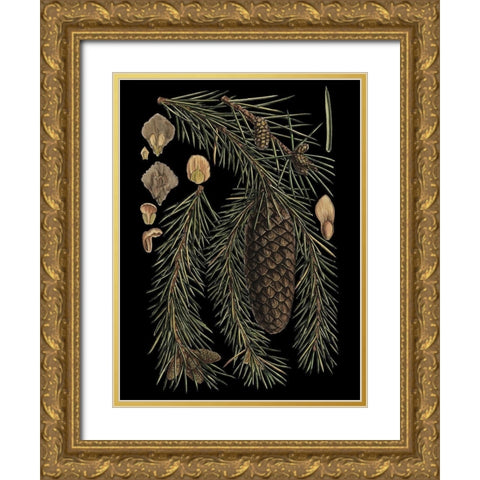 Small Dramatic Conifers III Gold Ornate Wood Framed Art Print with Double Matting by Vision Studio