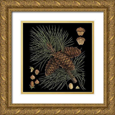Small Dramatic Conifers V  Gold Ornate Wood Framed Art Print with Double Matting by Vision Studio