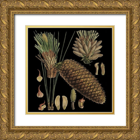 Small Dramatic Conifers VI Gold Ornate Wood Framed Art Print with Double Matting by Vision Studio
