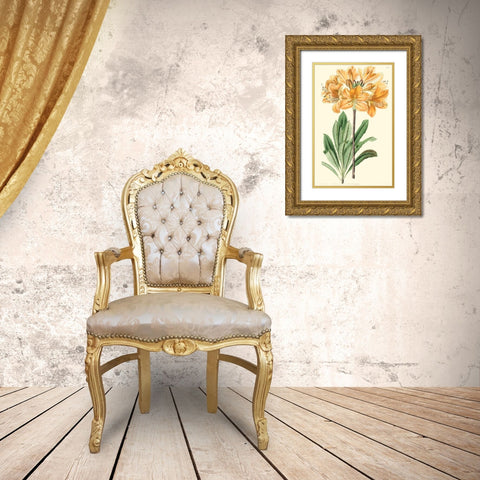 Golden Beauty II Gold Ornate Wood Framed Art Print with Double Matting by Edwards, Sydenham