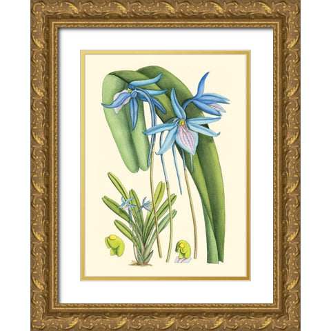 Periwinkle Blooms IV Gold Ornate Wood Framed Art Print with Double Matting by Curtis