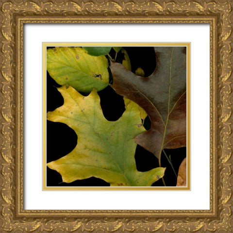 Small Vivid Leaves II Gold Ornate Wood Framed Art Print with Double Matting by Vision Studio