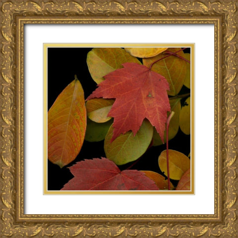 Small Vivid Leaves III Gold Ornate Wood Framed Art Print with Double Matting by Vision Studio